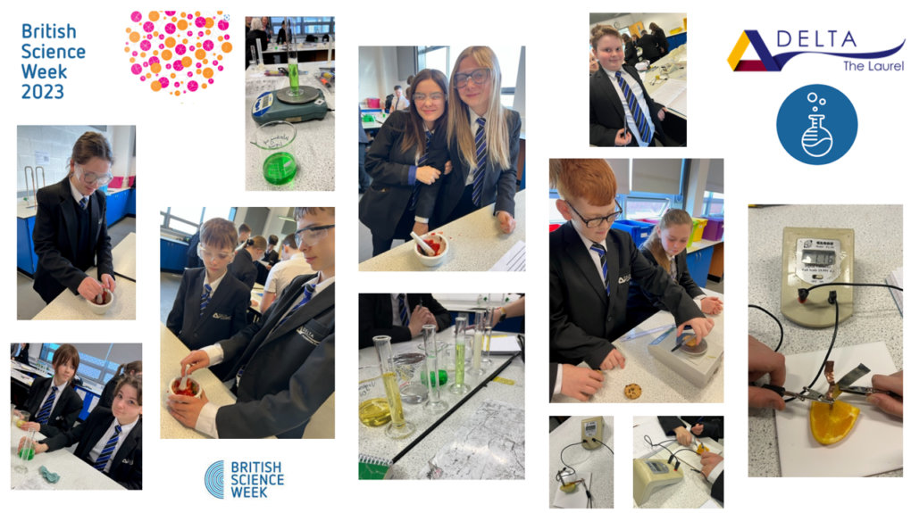 British Science Week Experiments - The Laurel Academy